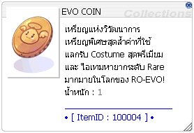 Limited Costume Items